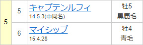 ワンピース枠